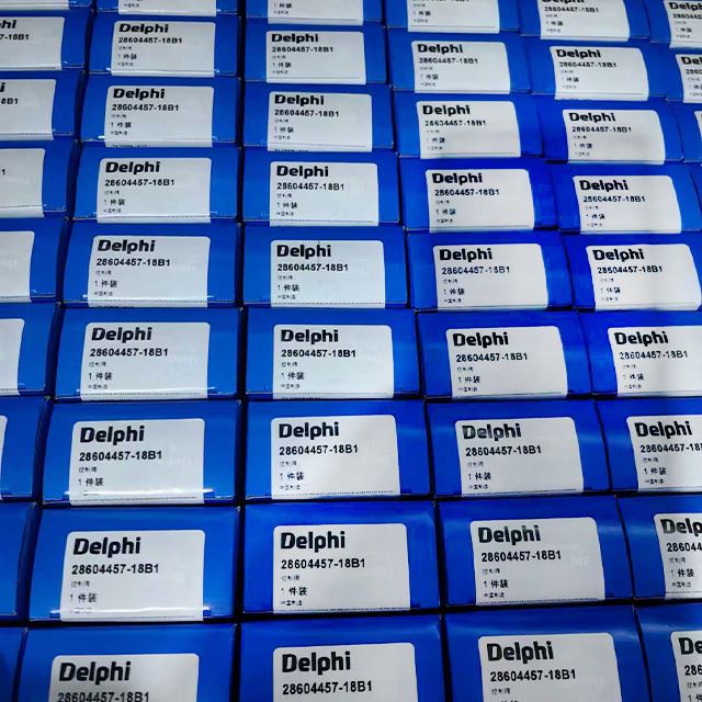 100% new genuine Delphi diesel engine parts of primarily idle air control (IAC) valve, common rail injector control valves